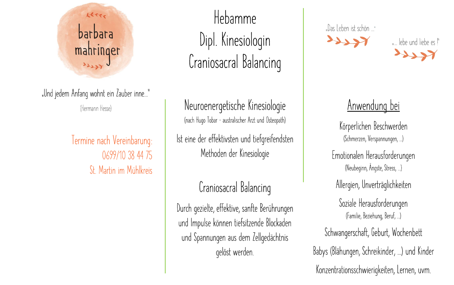Neuroenergetische Kinesiologie und Cranio Sacral Balancing Headerbild