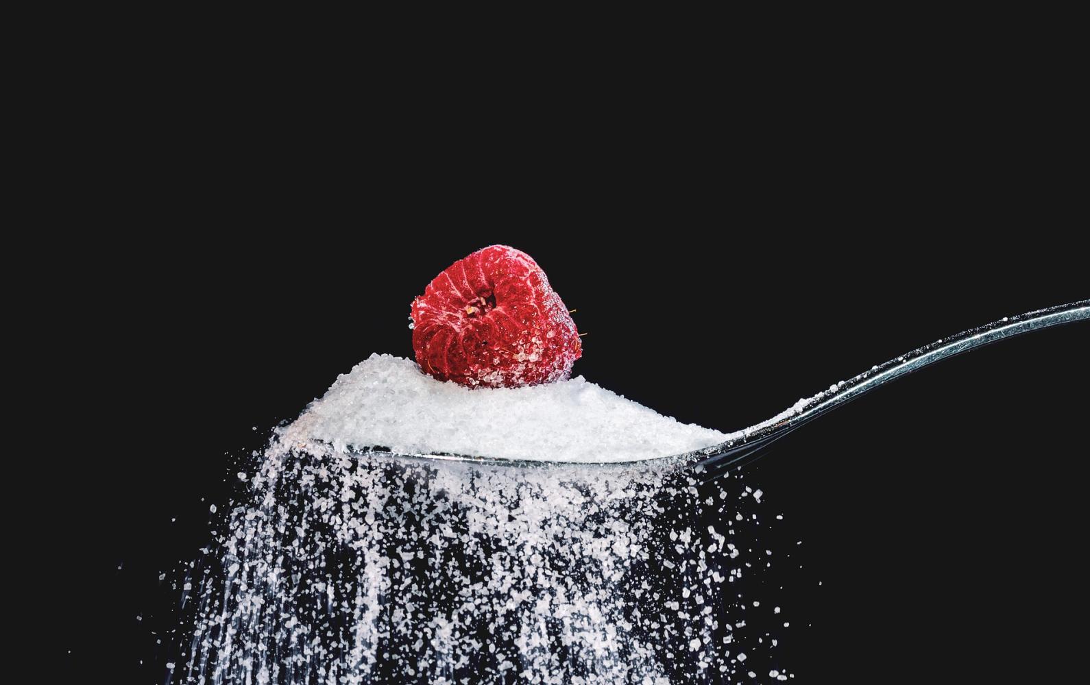 Zucker-frei Headerbild