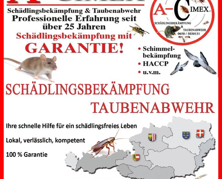A-Cimex e.U. Schädlingsbekämpfung & Taubenabwehr. Erwin Auberger
